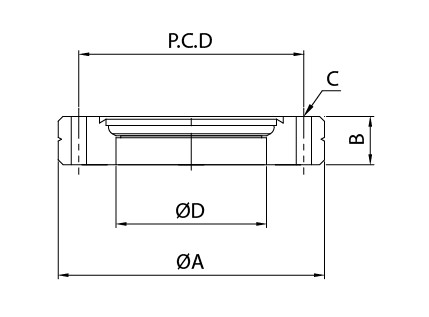 Flange cega perfurada CF
