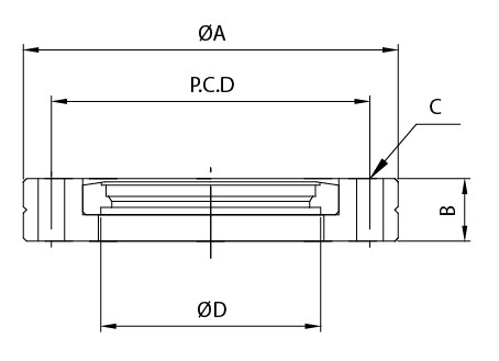 Flange cega perfurada rotacional CF